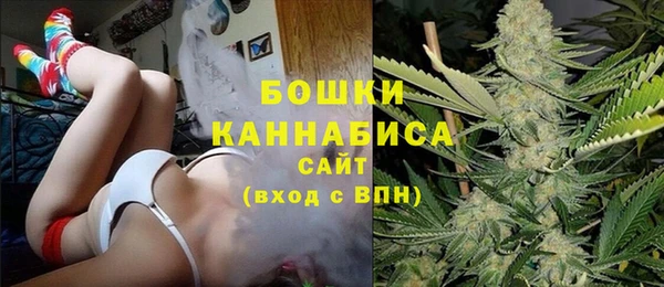 сатива Володарск